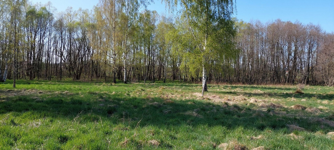 Kowary blisko Karpacza. Duża działka siedliskowa - Widok 2
