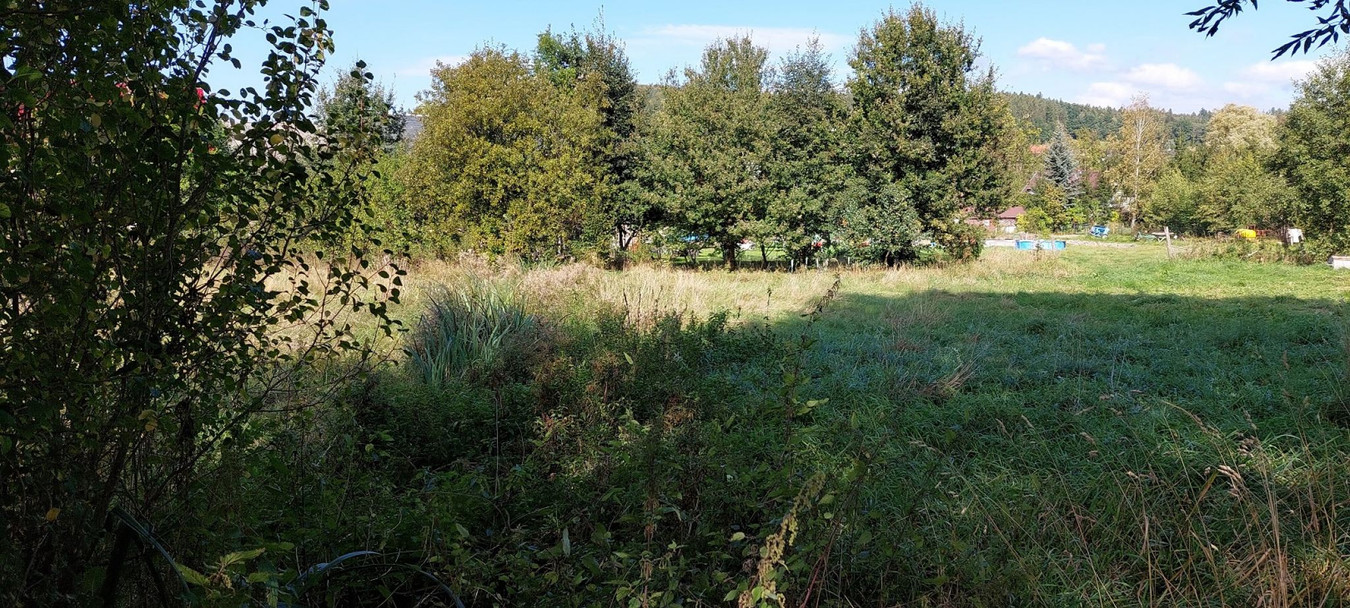 Działka budowlana – Sosnówka k. Karpacza. Możliwość podziału - Widok 4