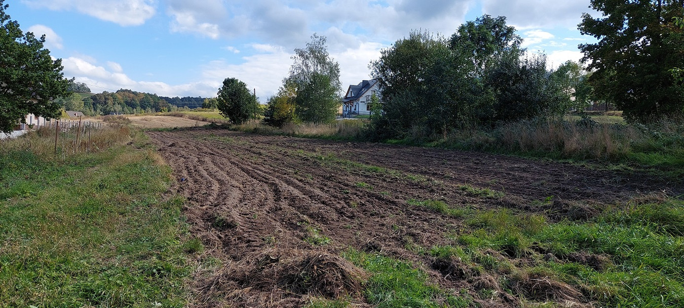 Działka budowlana – Sosnówka k. Karpacza. Możliwość podziału - Widok 3