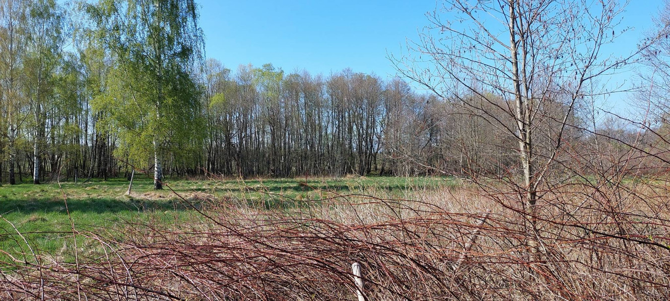 Kowary blisko Karpacza. Duża działka siedliskowa - Widok 3