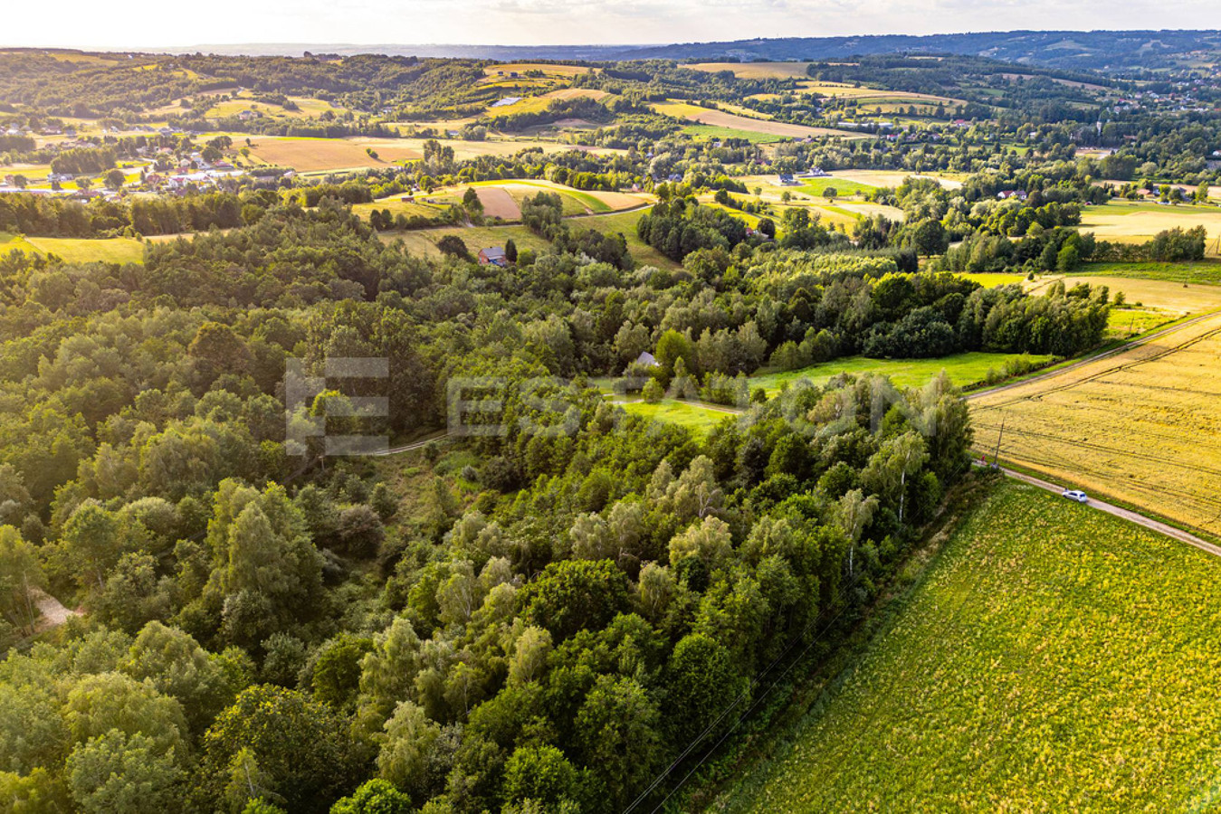 Piękna działka Nowy Borek 1,2397 ha WZ w trakcie - Widok 5