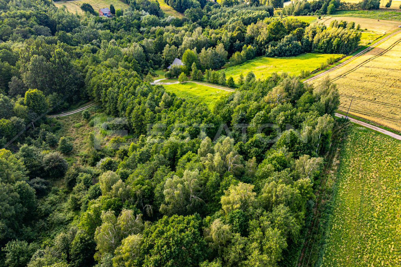 Piękna działka Nowy Borek 1,2397 ha WZ w trakcie - Więcej