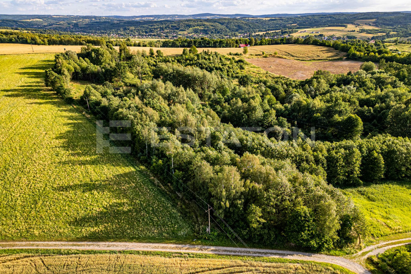Piękna działka Nowy Borek 1,2397 ha WZ w trakcie - Widok 3