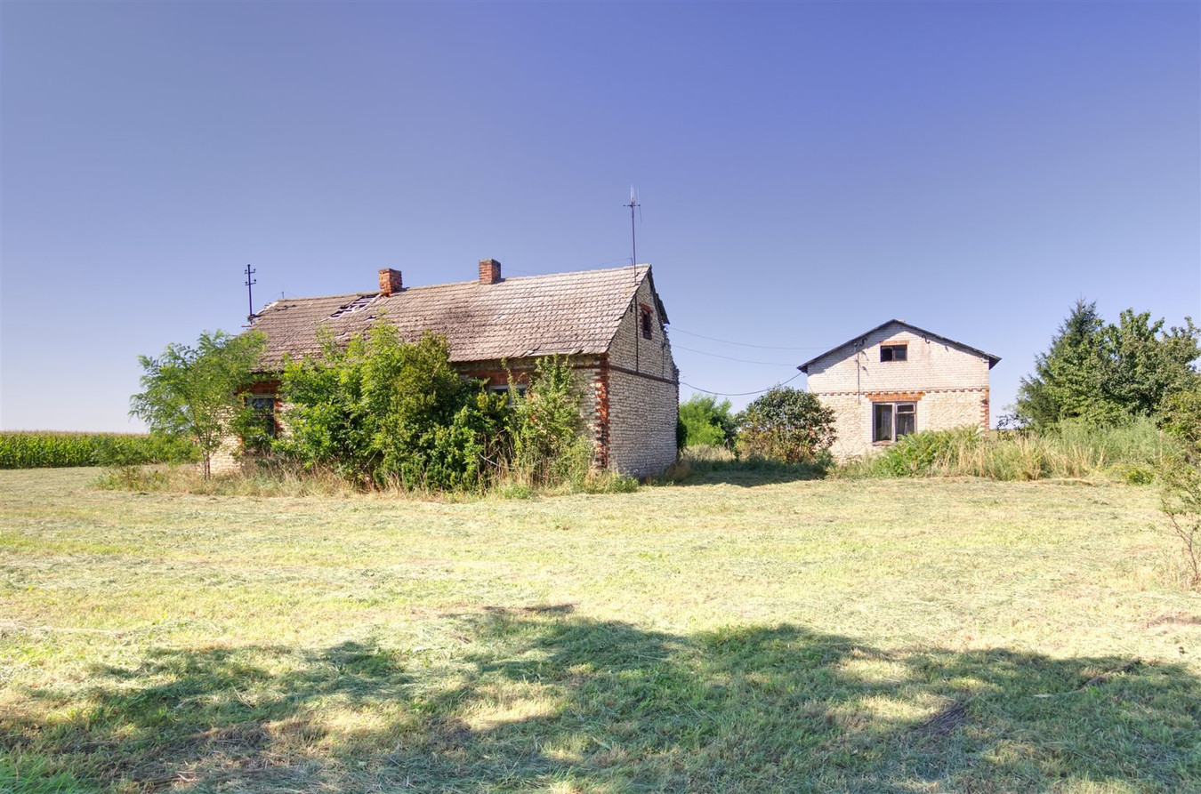 gratka-JEZI-GS-25 - Więcej