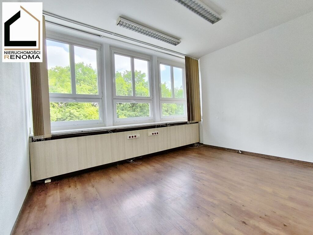 Lokal w centrum Poznania | Widok na park | PARKING - Widok 2