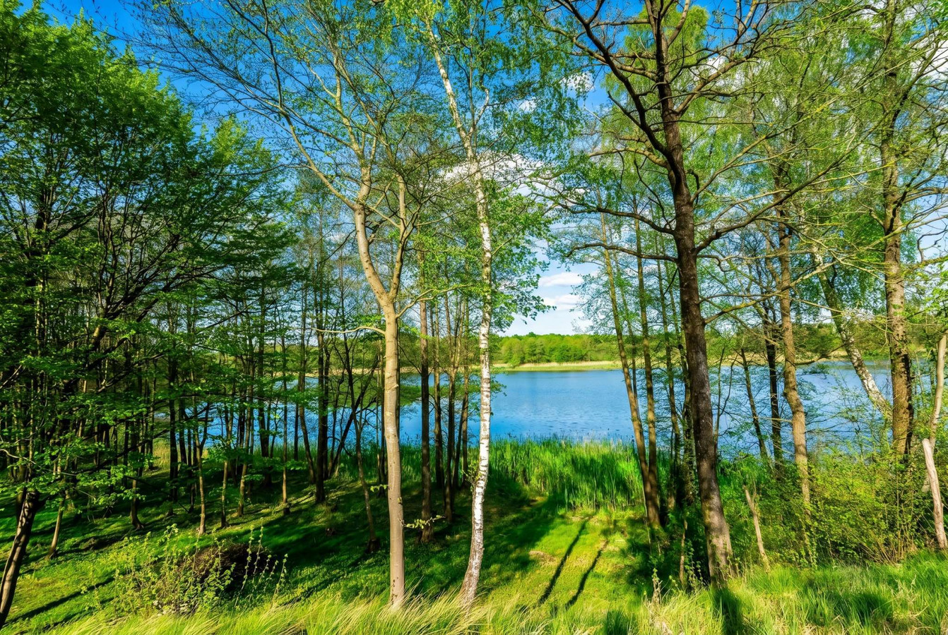 Działka budowlana nad jeziorem | 100 m od jeziora | MPZP | Media - Widok 5