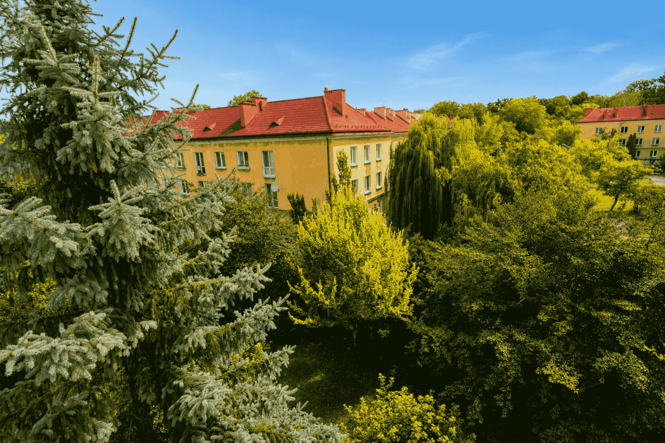 Mieszkanie – Sulejówek - Widok 5