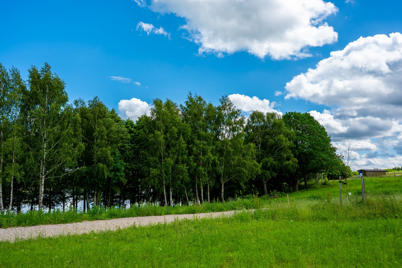 Działka budowlana nad jeziorem | 100 m od jeziora | MPZP | Media - Widok 3