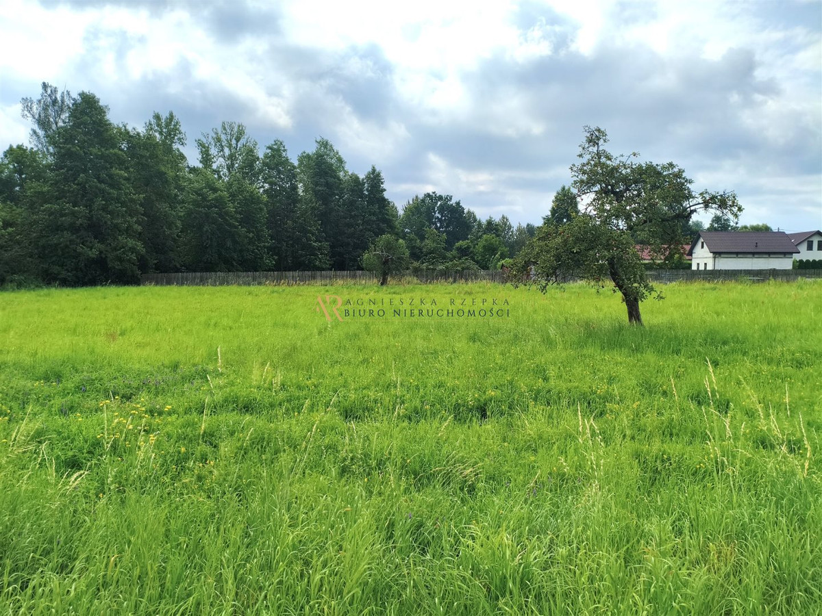 gratka-RZEP-GS-62 - Widok 4