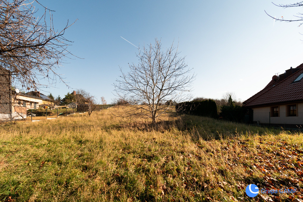 Widokowa działka 24 ar | Bezterminowe WZ | Chełmek - Widok 4
