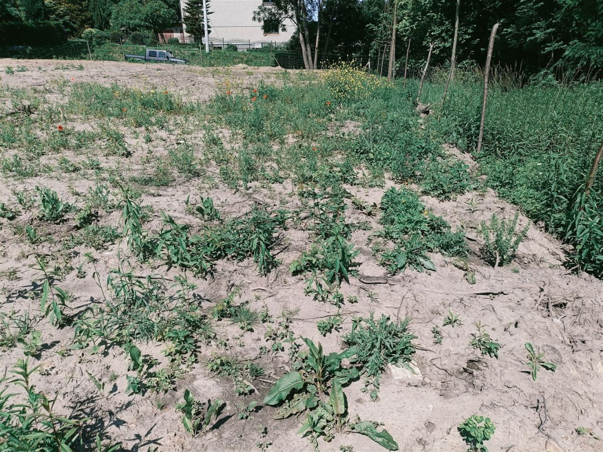 Działka 1050 m² w Dobieszowicach - Widok 6