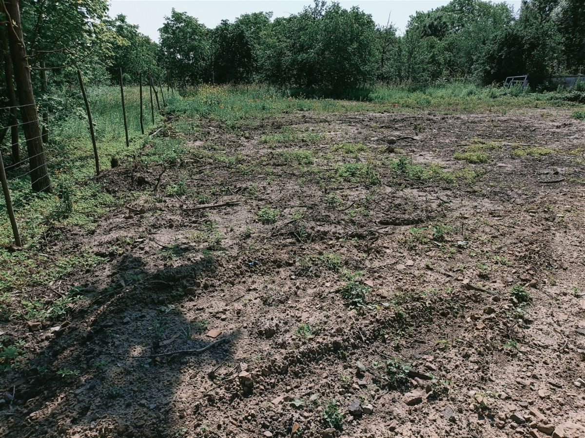 Działka 1050 m² w Dobieszowicach - Widok 2