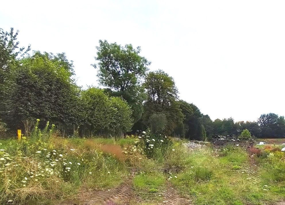 Sprzedaż działki budowlanej w Bobrownikach - Widok 2