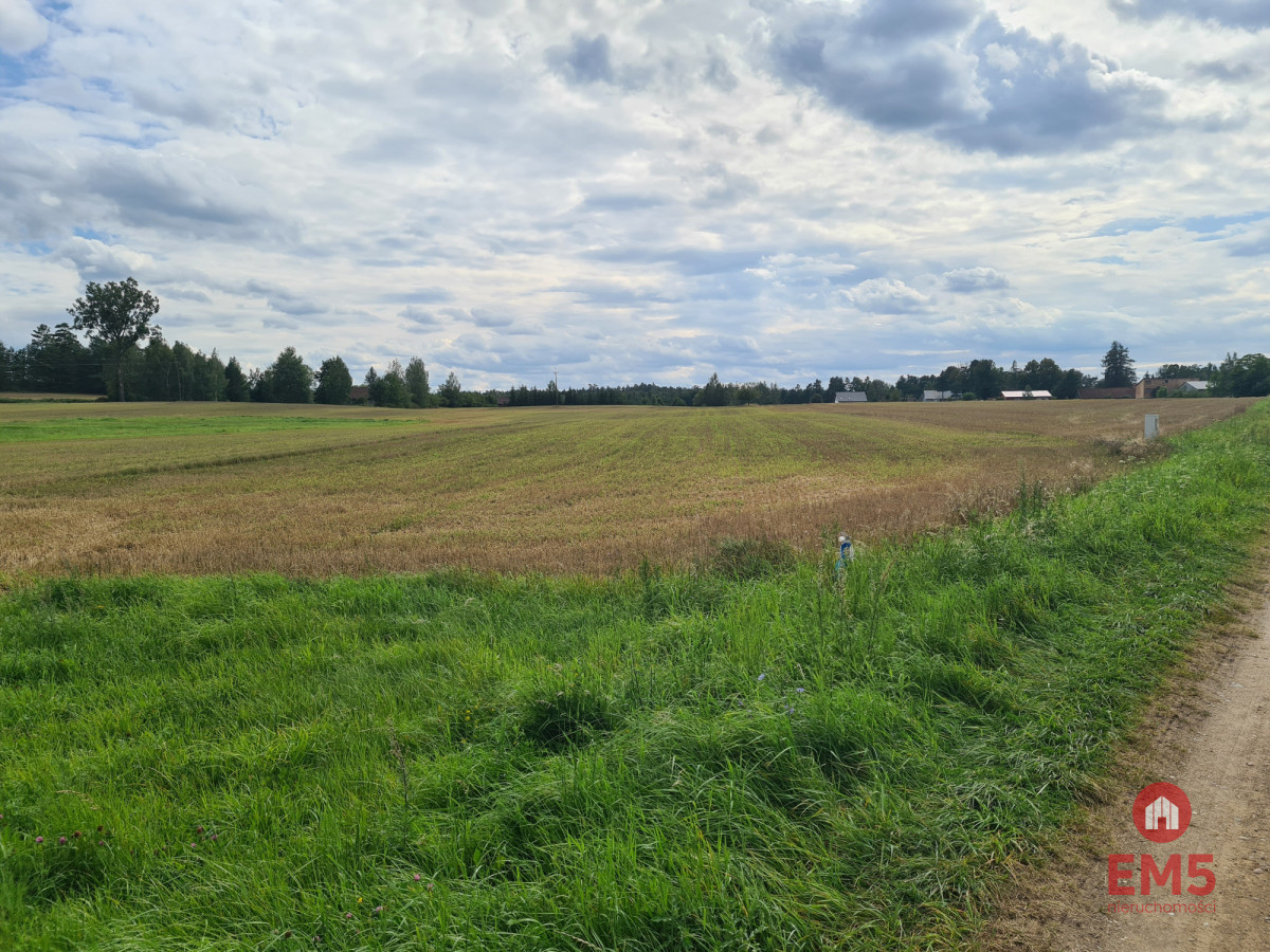 Działka w otulinie Puszczy Knyszyńskiej z WZ - Widok 2