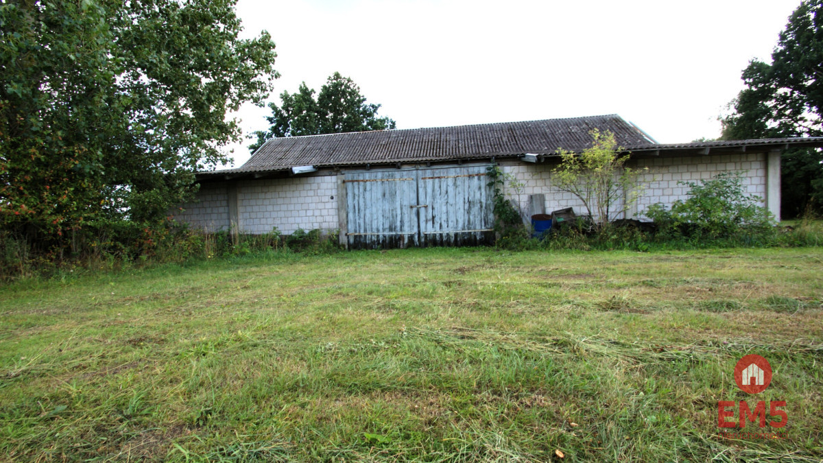 Budynek/hala na wynajem w pobliżu Jeżewa Starego - Widok 5