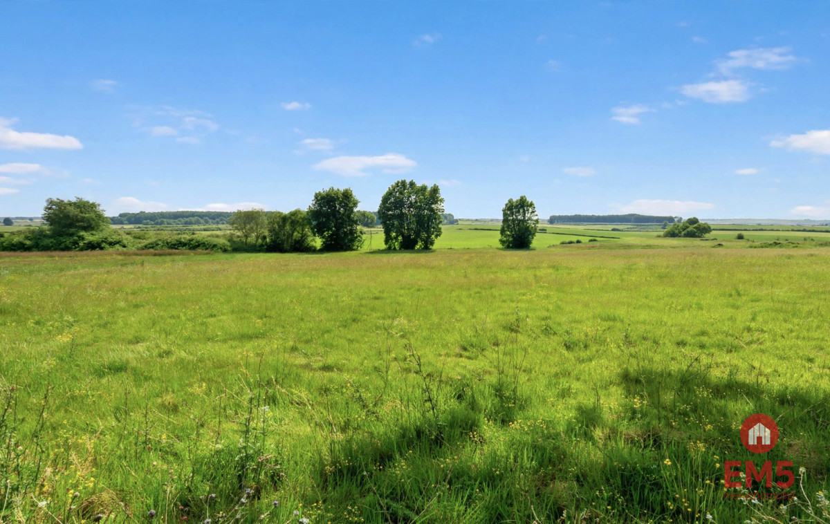 Piękne malownicze działki z WZ, gmina Suraż - Widok 2
