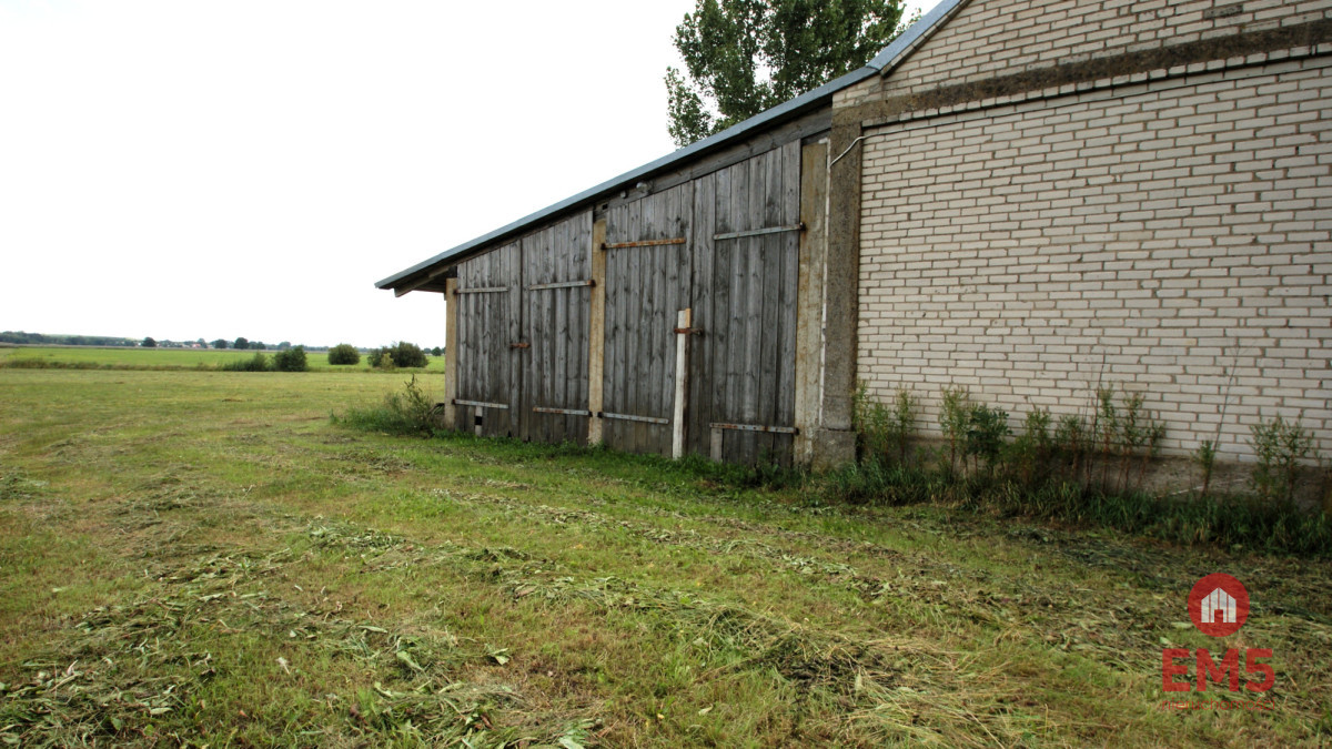 Budynek/hala na wynajem w pobliżu Jeżewa Starego - Więcej