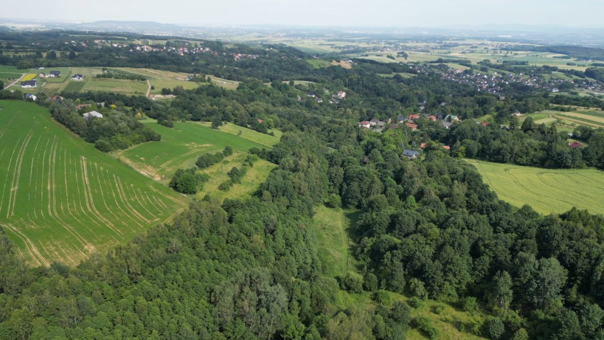 Działka siedliskowo-budowlano-rolna. Duży areał - Widok 5