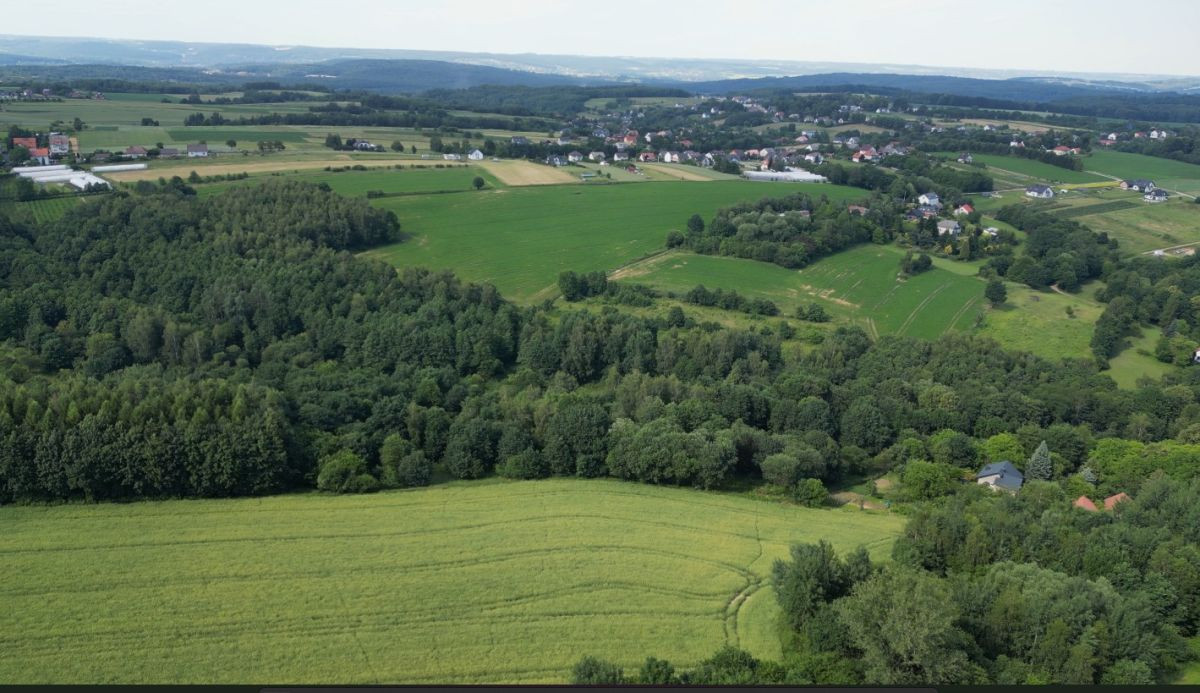 Działka siedliskowo-budowlano-rolna. Duży areał - Widok 6