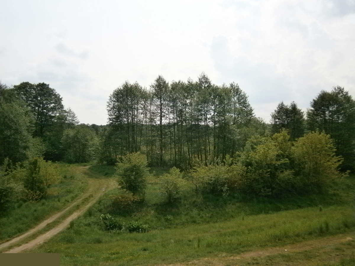 Piękna działka w pobliżu plaży - Widok 4