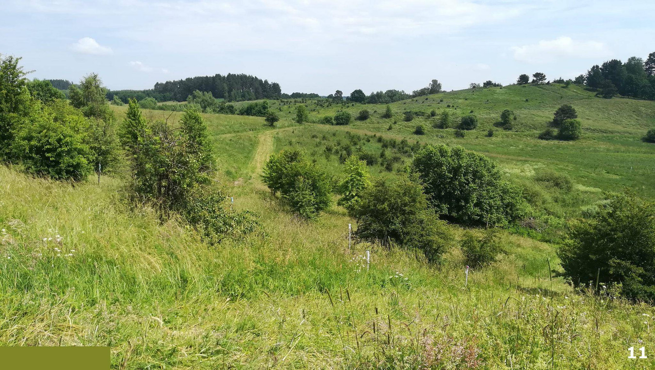 Łaniewo budowlane rekreacja rowery bobry - Widok 3