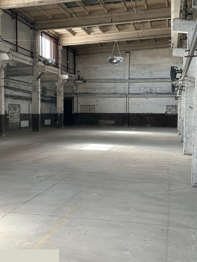 3 MIESIĄCE ZA 1/2 CENY - Hala/Magazyn 1320 m² - Widok 4