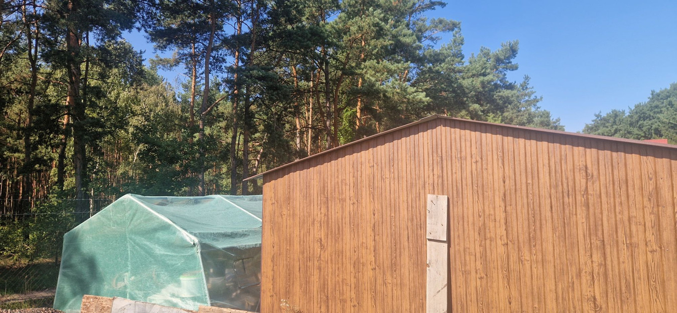 Działka rekreacyjna ROD Nad Drwęca w Lubiczu Dolnym, 550 m² - Widok 3