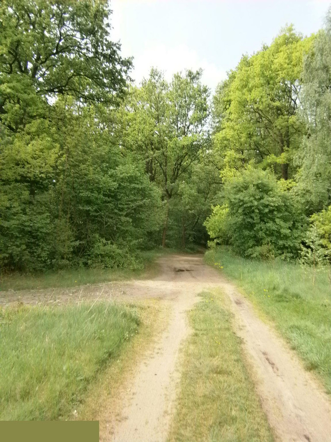 Piękna działka w pobliżu plaży - Widok 2