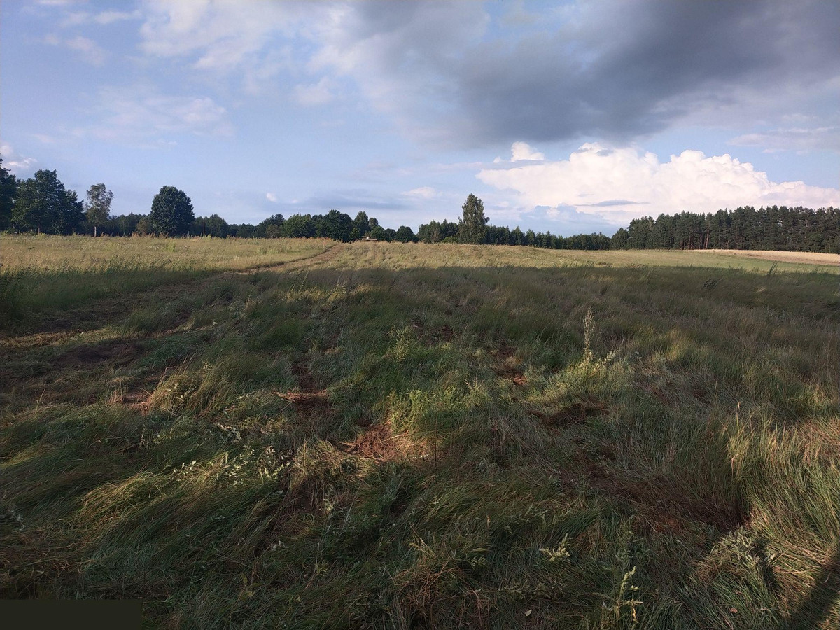 Duża działka 2700 m² z Warunkami Zabudowy . Tylko 37 zł za m2. Na wsi - Widok 5