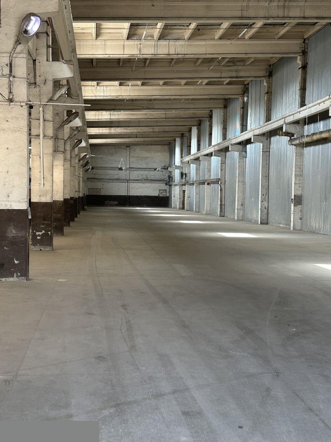 3 MIESIĄCE ZA 1/2 CENY - Hala/Magazyn 1320 m² - Widok 2