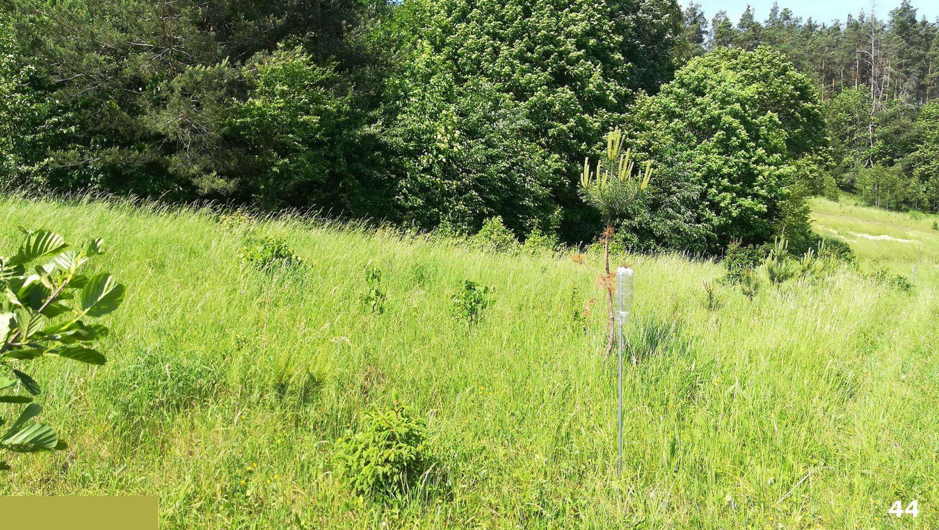 Działka, 1 192 m², Kaborno - Widok 4