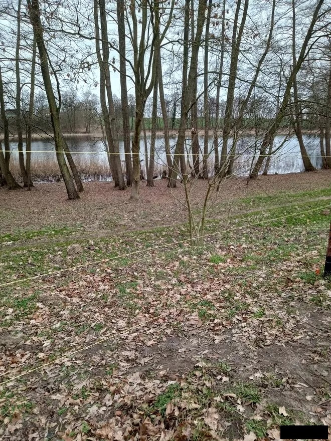 Działki nad jeziorem Warchlino - 20 min. od p.Szczecina - Więcej