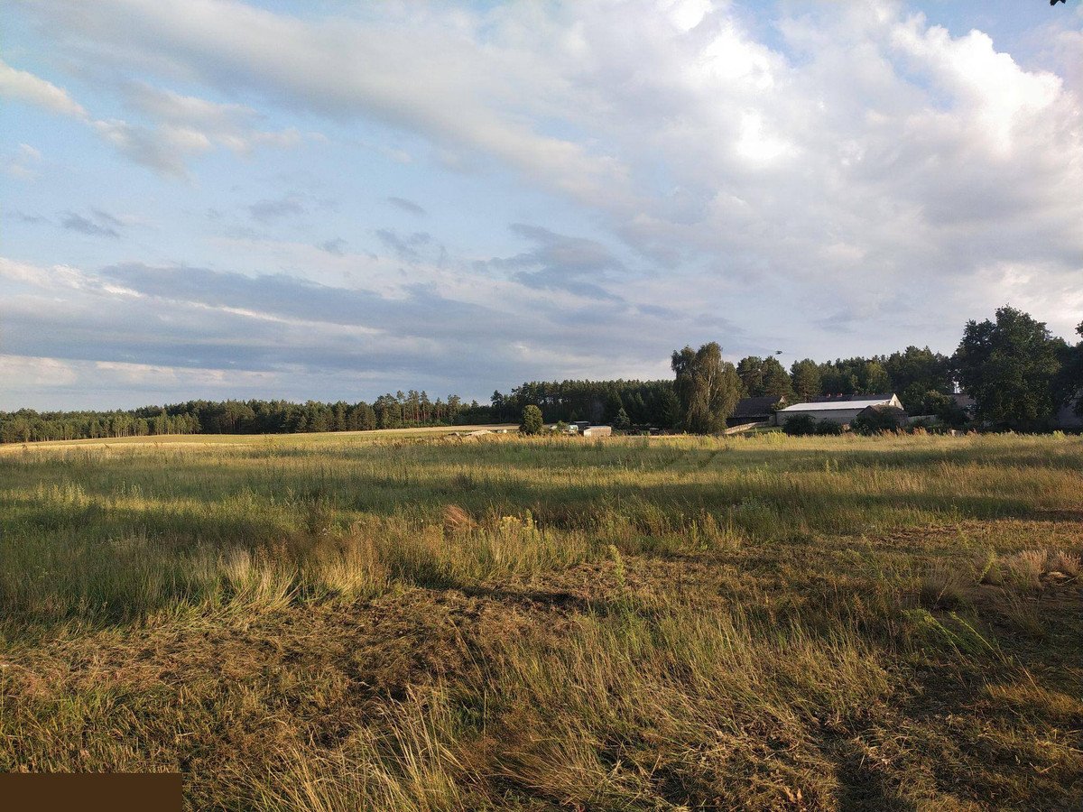 Duża działka 2700 m² z Warunkami Zabudowy . Tylko 37 zł za m2. Na wsi - Widok 2