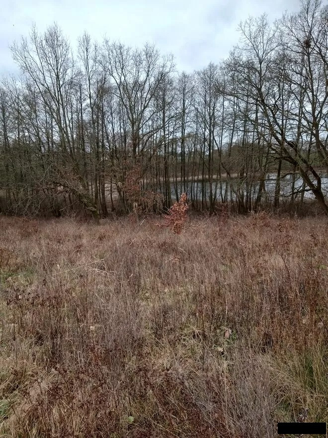Działki nad jeziorem Warchlino - 20 min. od p.Szczecina - Widok 4