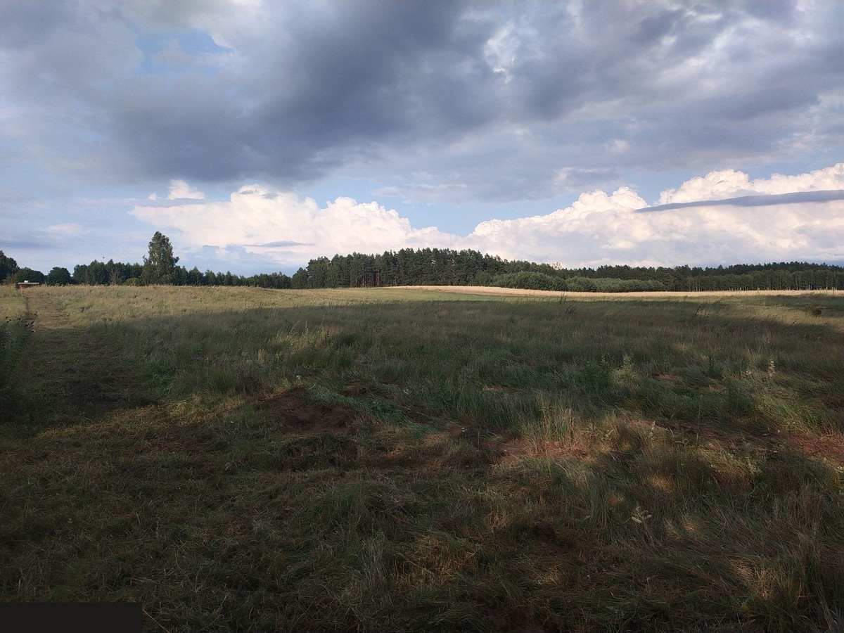 Duża działka 2700 m² z Warunkami Zabudowy . Tylko 37 zł za m2. Na wsi - Więcej