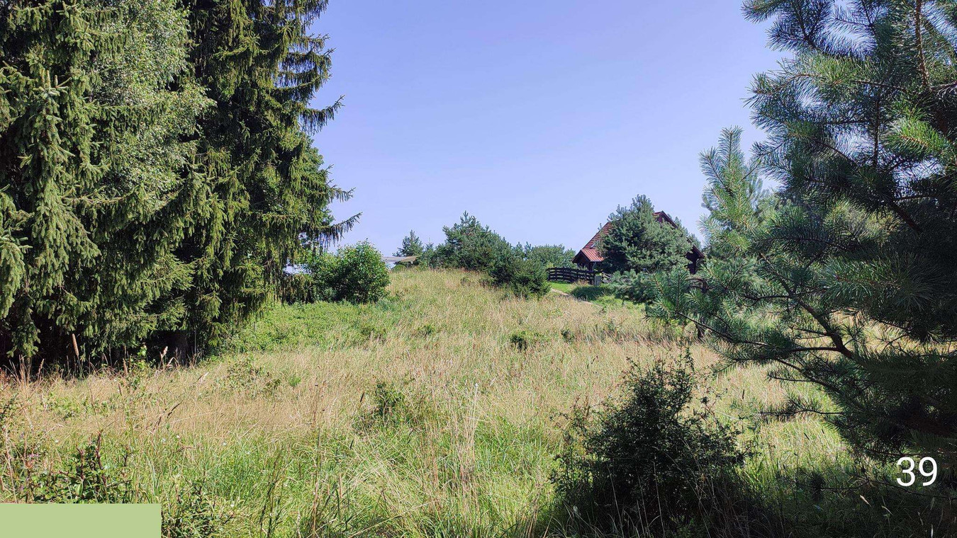Działka, 1 192 m², Kaborno - Widok 2