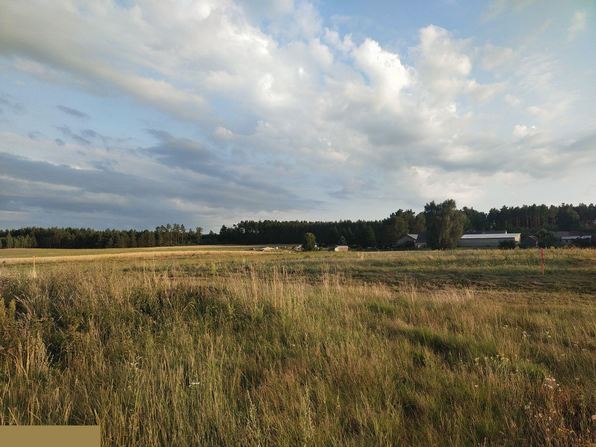 Duża działka 2700 m² z Warunkami Zabudowy . Tylko 37 zł za m2. Na wsi - Widok 3