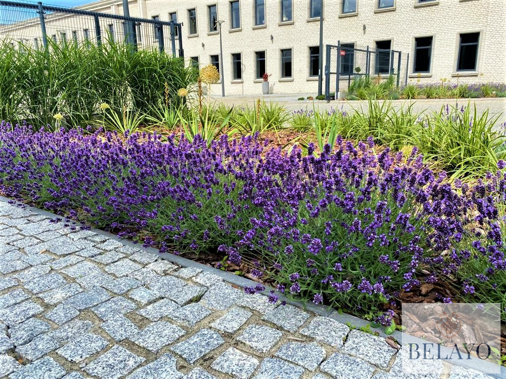 Biura parter ok 250 m², duży parking - Widok 5