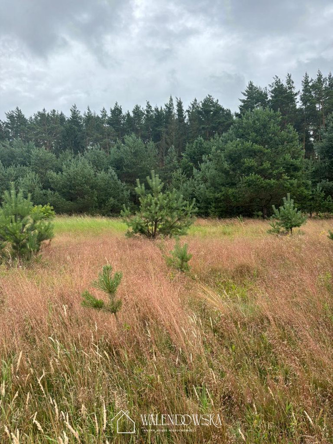 działka uzbrojona- Smołdzino - 1675 m² - Widok 2