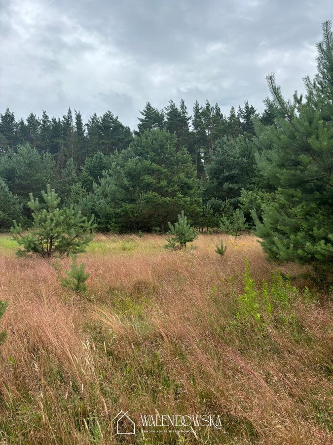 działka uzbrojona- Smołdzino - 1675 m² - Widok 3