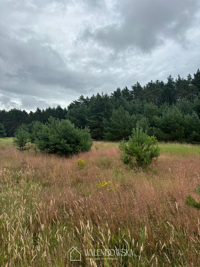 działka uzbrojona- Smołdzino - 1675 m² - Widok 4