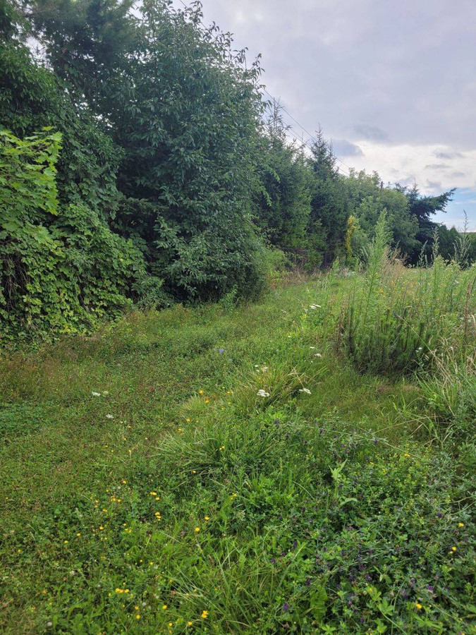 Urokliwie zlokalizowana działka budowlana - Widok 3