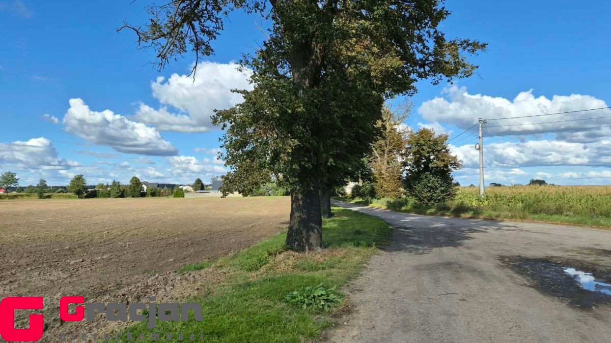 Grunt na sprzedaż, Urbanie, 11065.00 m² - Widok 4