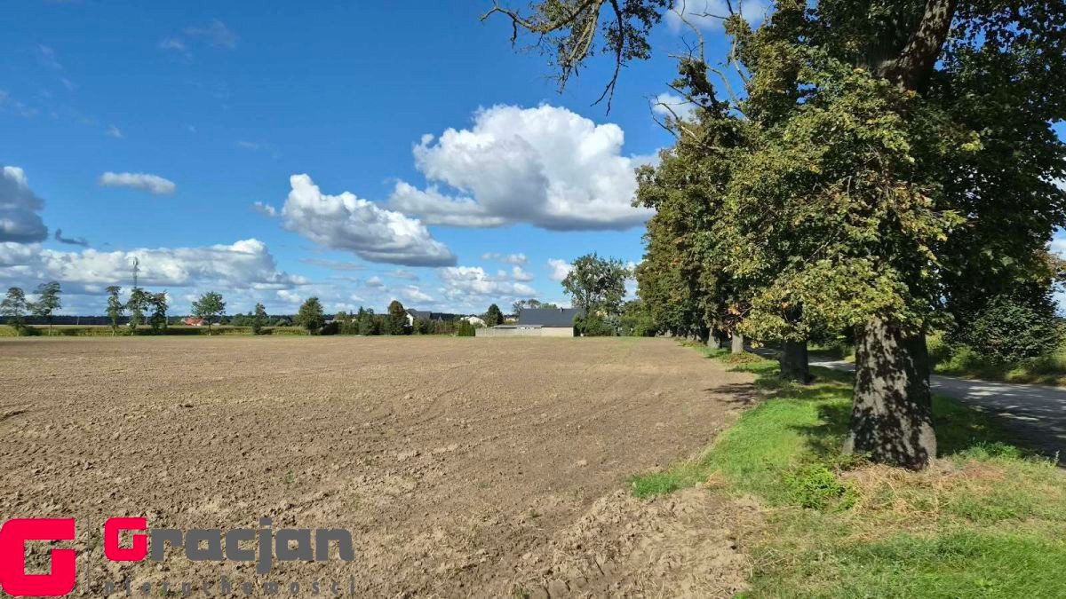 Grunt na sprzedaż, Urbanie, 11065.00 m² - Widok 2