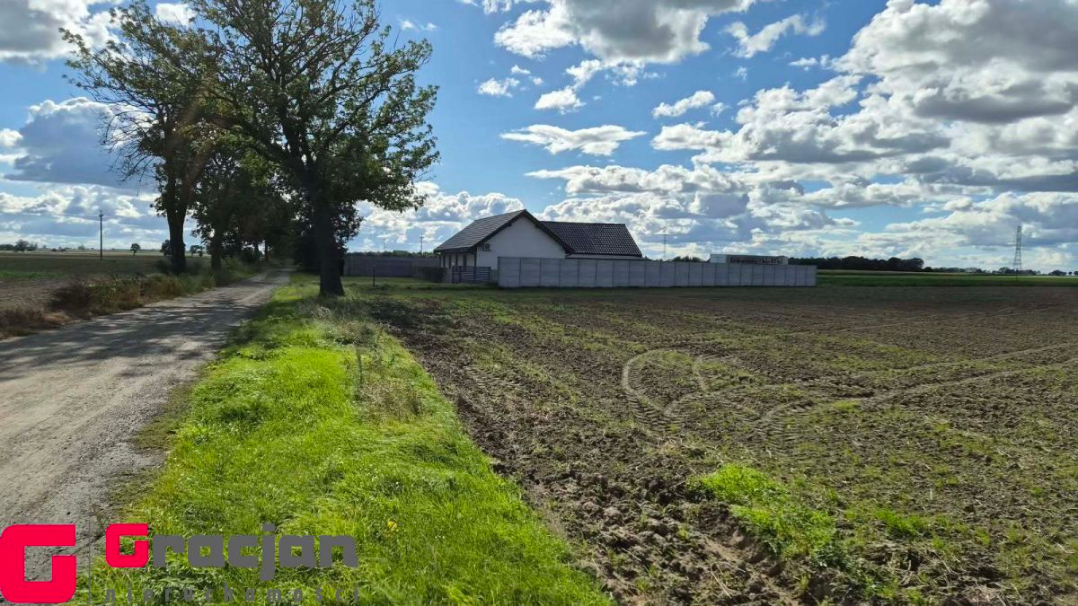 Grunt na sprzedaż, Urbanie, 11065.00 m² - Widok 3