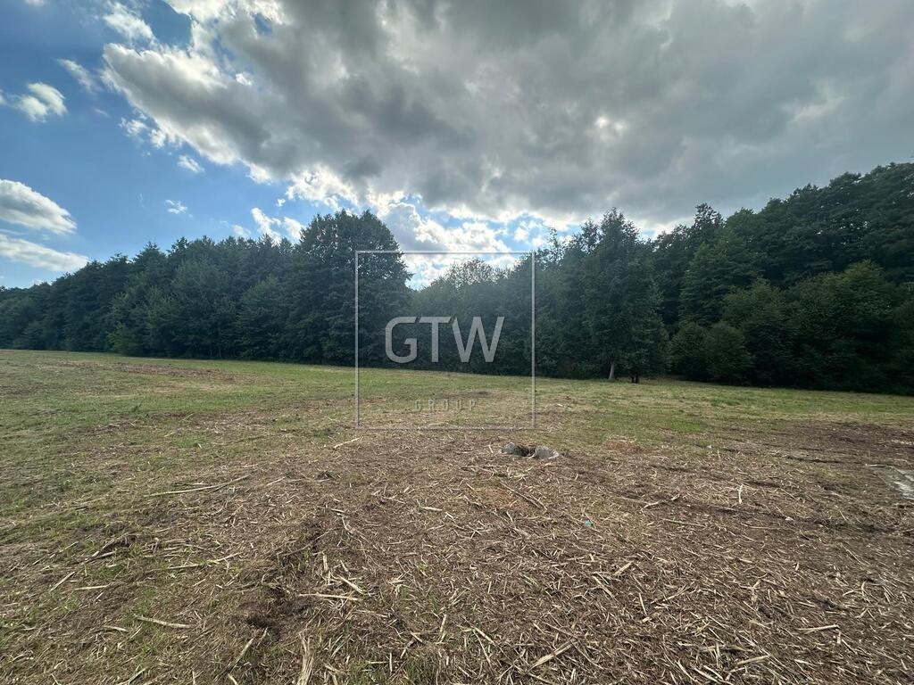 DZIAŁKA NA SPRZEDAŻ Z WZ – LISÓWEK - Widok 2