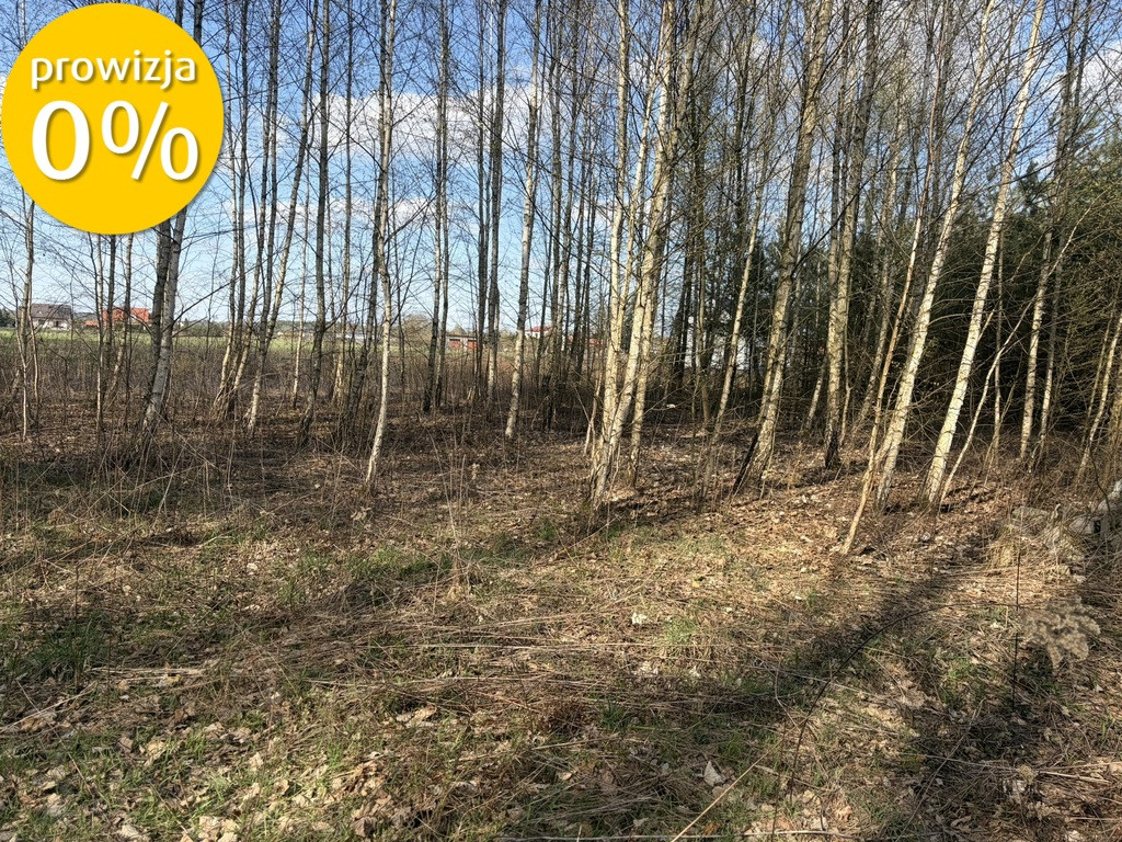 Szadki, budowlana - akt. MPZP, blisko lasu - Widok 3