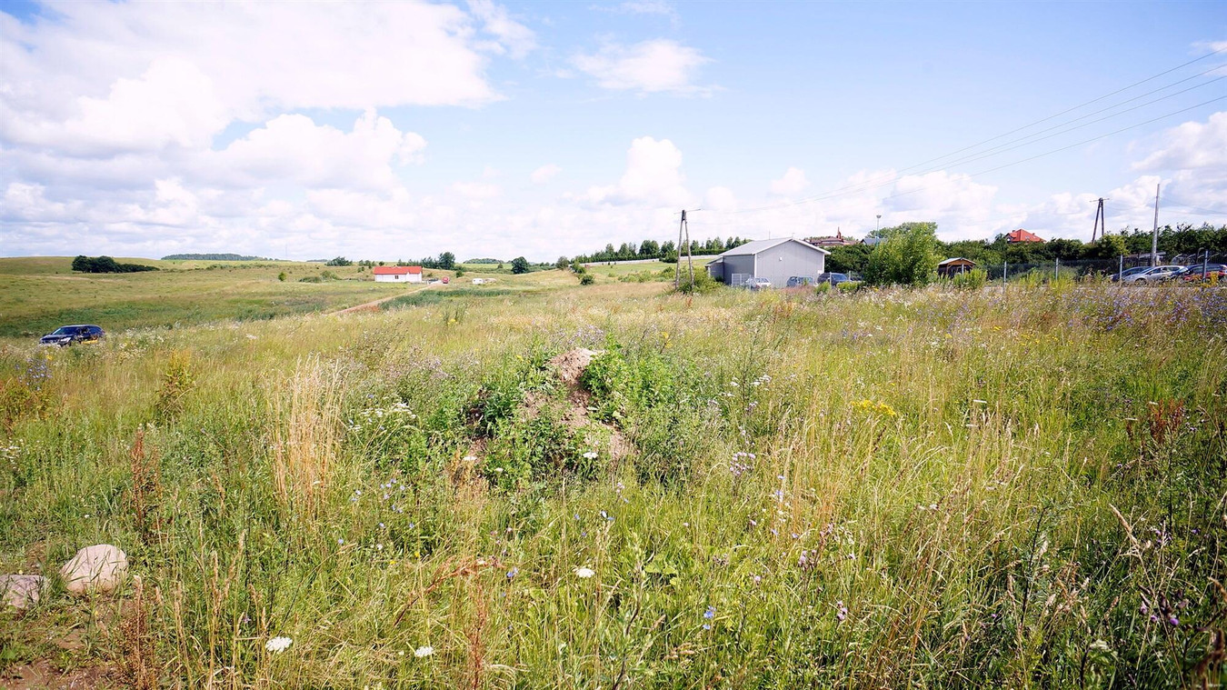 gratka-1299 - Więcej