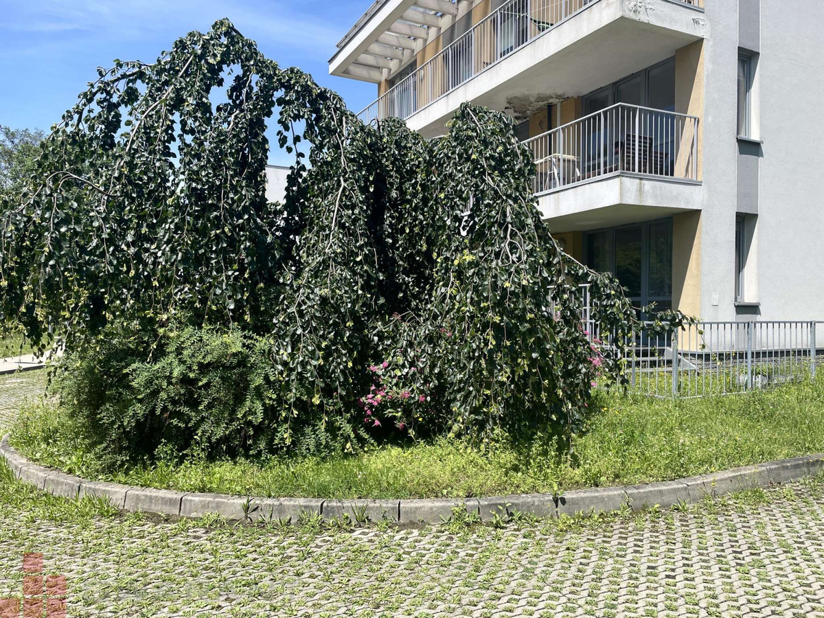 Apartment in Kraków, Cegielniana, Łagiewniki-Borek Fałęcki - Widok 6