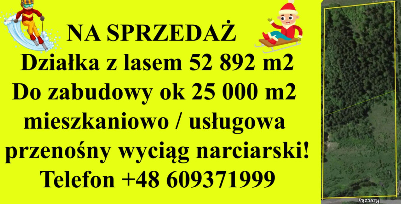 Działa z lasem w Rzeczka obok Walimia góry las stok narty przyroda sanki - Widok 3